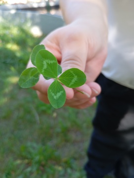 tocka moci _ vdc (1)